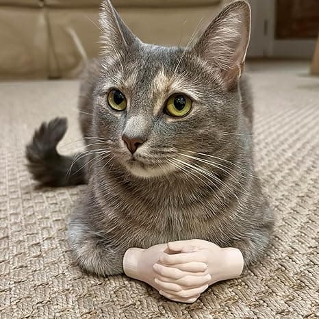 Tiny fake cat paw gloves worn by a human—hilarious pet cosplay gag gift for cat lovers, costume parties, or quirky feline fanatics.