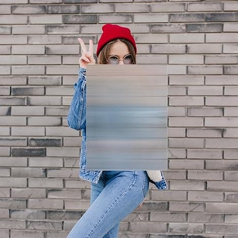 Person “vanishing” behind an invisibility shield—funny prank gift for magic fans, illusion lovers, or awkward hide-and-seek champions.