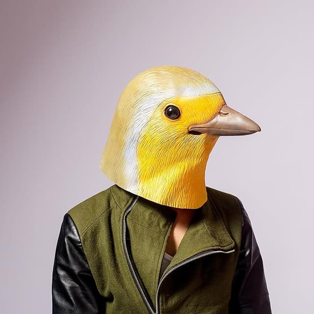 Latex robin bird mask with realistic beak and eyes, perfect for parties, pranks, and awkward bird impersonations